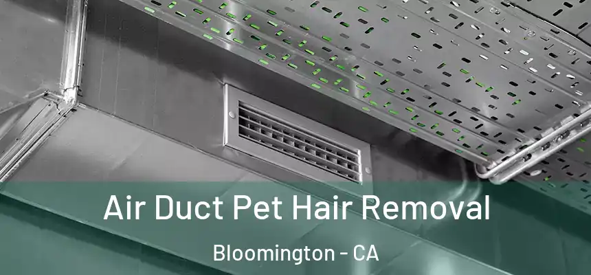 Air Duct Pet Hair Removal Bloomington - CA