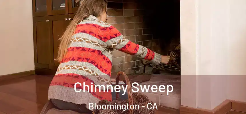 Chimney Sweep Bloomington - CA