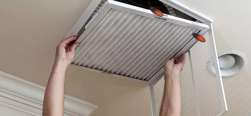 Our Insect Removal from Air Ducts Services in Bloomington, CA