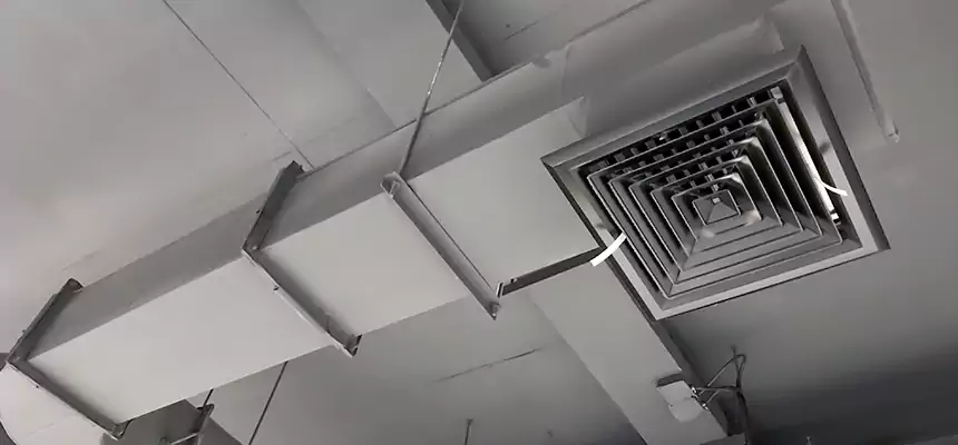 Our Pest Removal From Ducts Services in Bloomington, CA