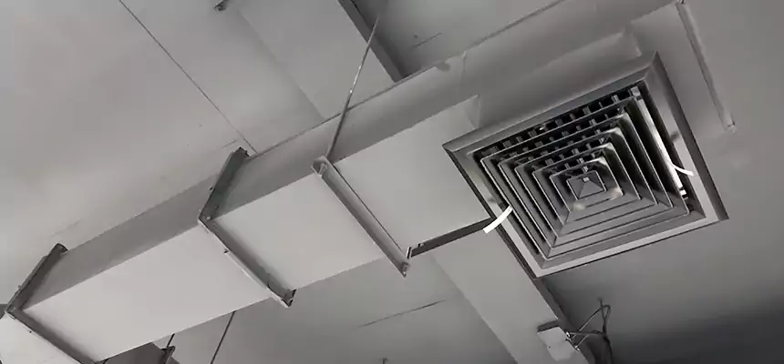 Our Rodent Droppings In Vents Services in Bloomington, CA