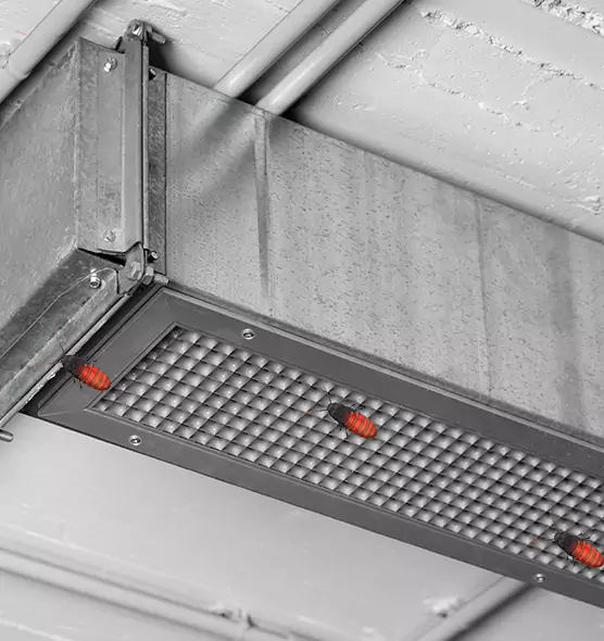 Affordable Insect Removal from Air Ducts in Bloomington, CA