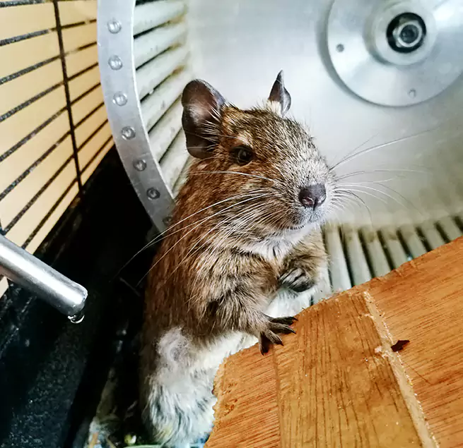 Why Homeowners & Businesses Trust Us Bloomington, CA