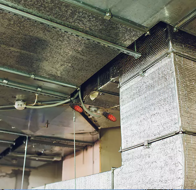 Why Homeowners & Businesses Trust Us Bloomington, CA?