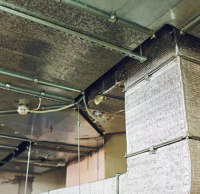 Why Homeowners & Businesses Trust Us in Bloomington, CA?