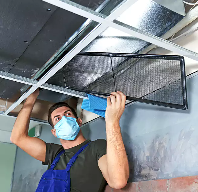 Why Homeowners Businesses Trust Us in Bloomington, CA